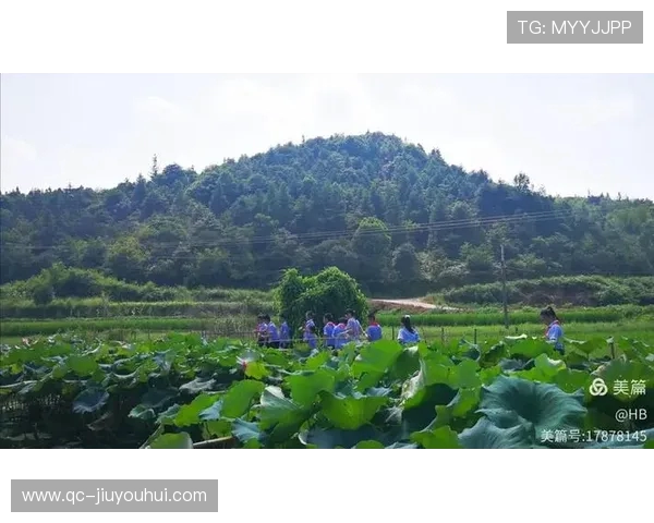 尹先生谈湘潭足球发展与未来愿景探索如何突破地方困境走向更高水平