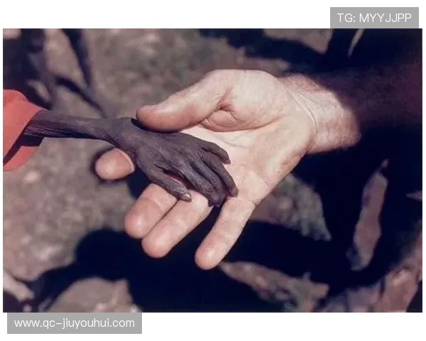 逆境鏖战中后卫极限封堵与团队协防震撼瞬间全景深度精彩解析全貌